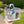 Load image into Gallery viewer, Blue Car / TSP0163
