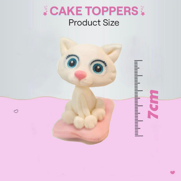 Kitten / TSP0172