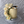 Load image into Gallery viewer, Graduation Set / SET1049