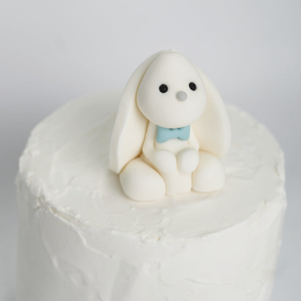 Bunny Boy / TSP0170