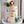 Load image into Gallery viewer, Lion / TSP0135