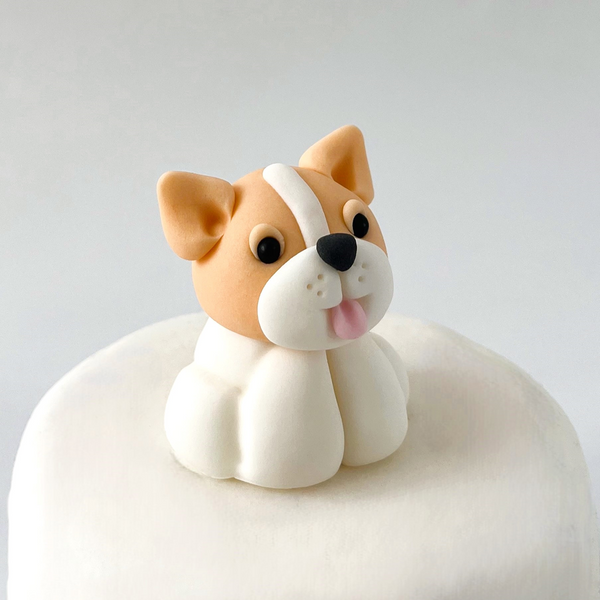 Puppy B / TSP0271