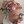 Load image into Gallery viewer, 3 Bears Set / SET1044