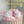 Load image into Gallery viewer, Pink Boot / TSP0139