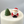 Load image into Gallery viewer, Santa Set / SET2002
