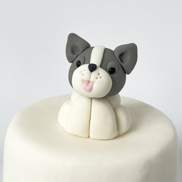Puppy G / TSP0171