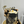 Load image into Gallery viewer, Graduation Set / SET1049