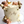 Load image into Gallery viewer, 3 Bears Set / SET1044
