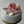 Load image into Gallery viewer, Makeup Set / SET1071

