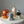 Load image into Gallery viewer, 4 Animals Set / SET1004
