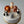 Load image into Gallery viewer, 6 Animals Set / SET1060
