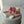 Load image into Gallery viewer, Makeup Set / SET1071
