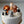 Load image into Gallery viewer, 6 Animals Set / SET1060
