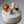 Load image into Gallery viewer, 4 Animals Set / SET1004
