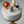 Load image into Gallery viewer, 4 Animals Set / SET1004
