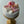 Load image into Gallery viewer, Makeup Set / SET1071

