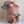 Load image into Gallery viewer, Small Bear / TSP0154
